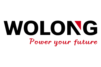 Wolong Logo